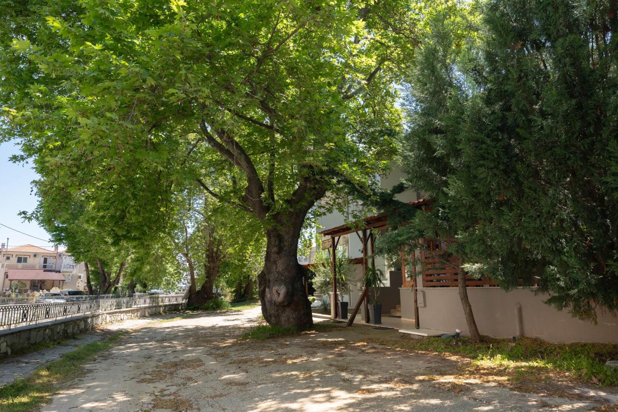 Kipos Resort Néa Péramos Dış mekan fotoğraf
